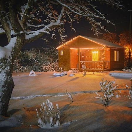Family Hotel Maia - Cемейная Гостиница Майя Dashbashi Exteriör bild