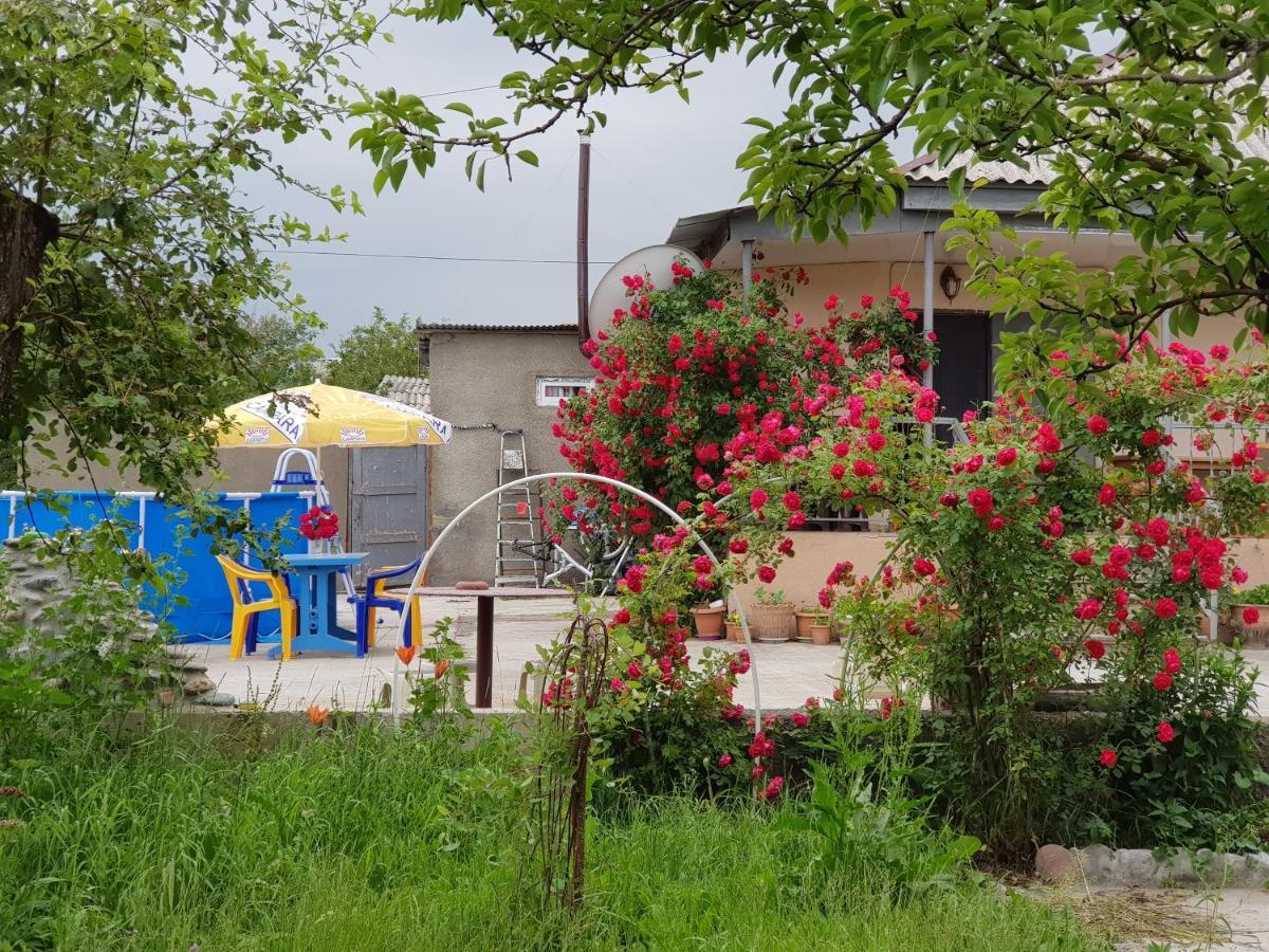 Family Hotel Maia - Cемейная Гостиница Майя Dashbashi Exteriör bild