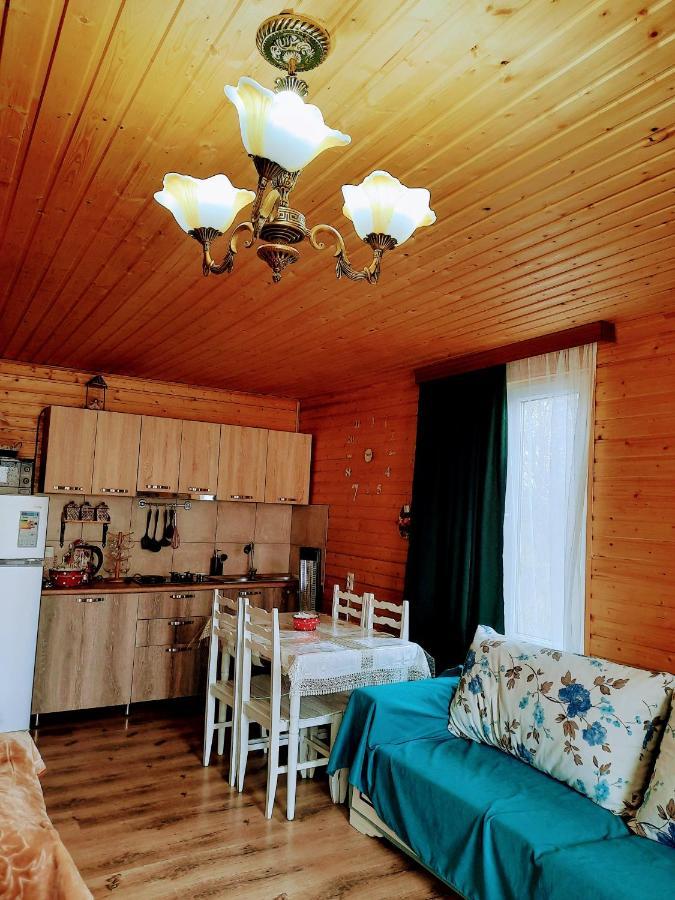 Family Hotel Maia - Cемейная Гостиница Майя Dashbashi Exteriör bild