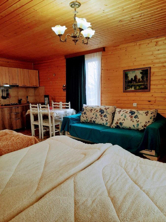 Family Hotel Maia - Cемейная Гостиница Майя Dashbashi Exteriör bild