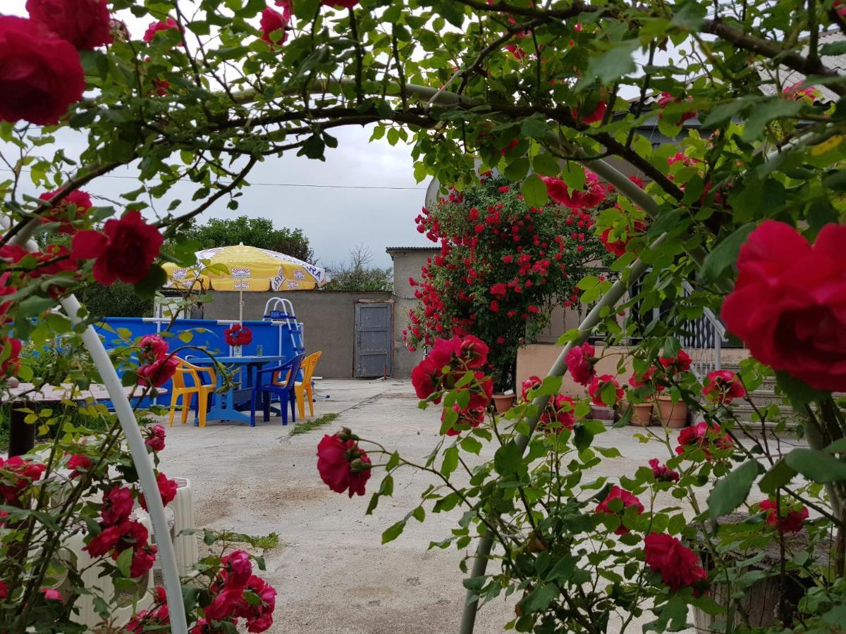 Family Hotel Maia - Cемейная Гостиница Майя Dashbashi Exteriör bild